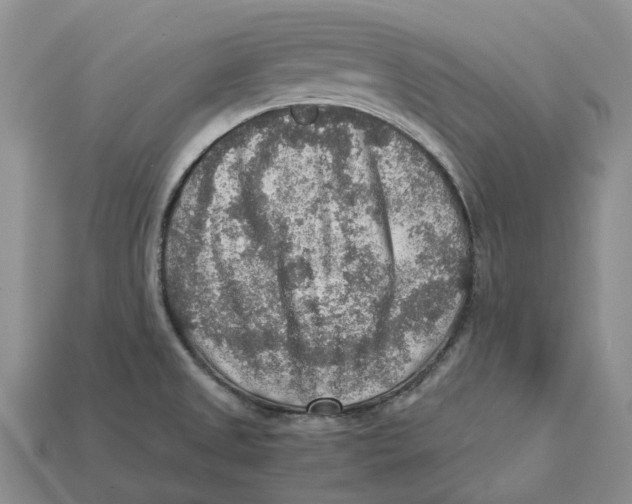 X0000112951525200909211144