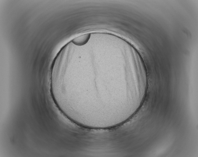 X0000112951526200909211144