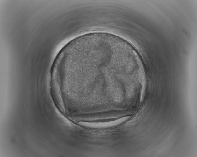 X0000112951527200909211144