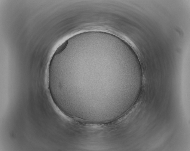 X0000112951528200909211144