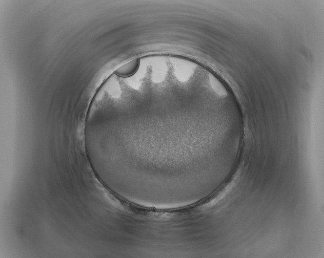 X0000112951529200909211144