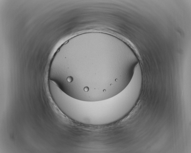 X0000112951530200909211144