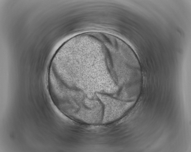 X0000112951531200909211144