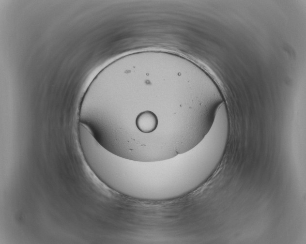 X0000112951532200909211144