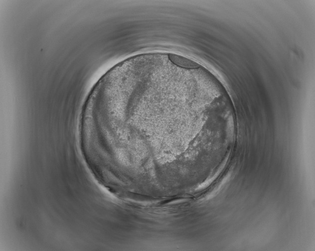 X0000112951533200909211144