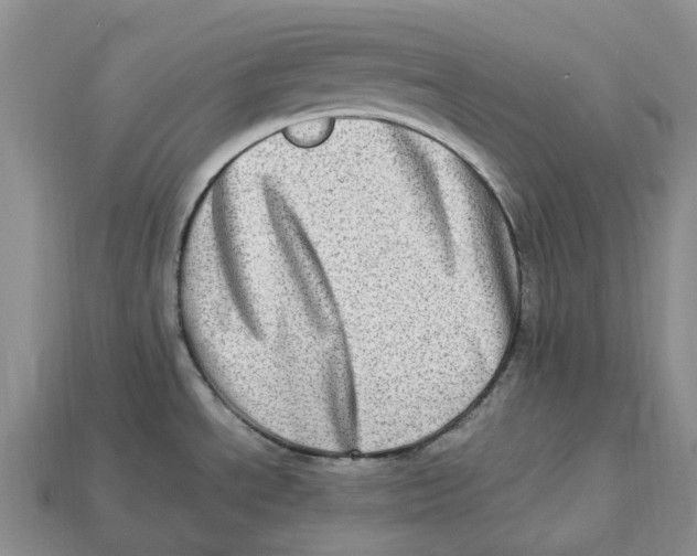 X0000112951534200909211144