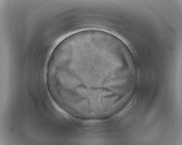 X0000112951535200909211144