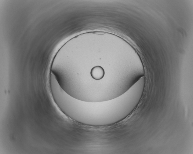 X0000112951536200909211144