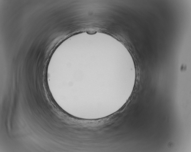 X0000112950001200910051230