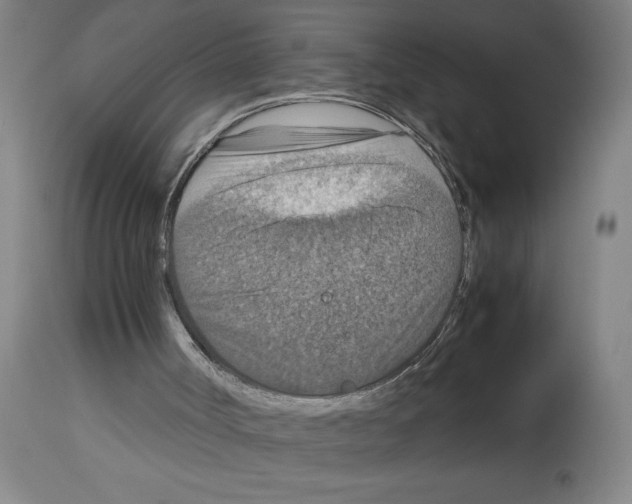X0000112950002200910051230