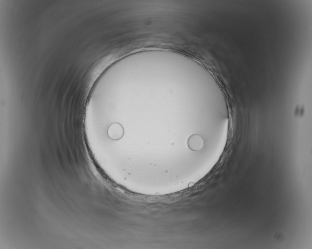 X0000112950003200910051230