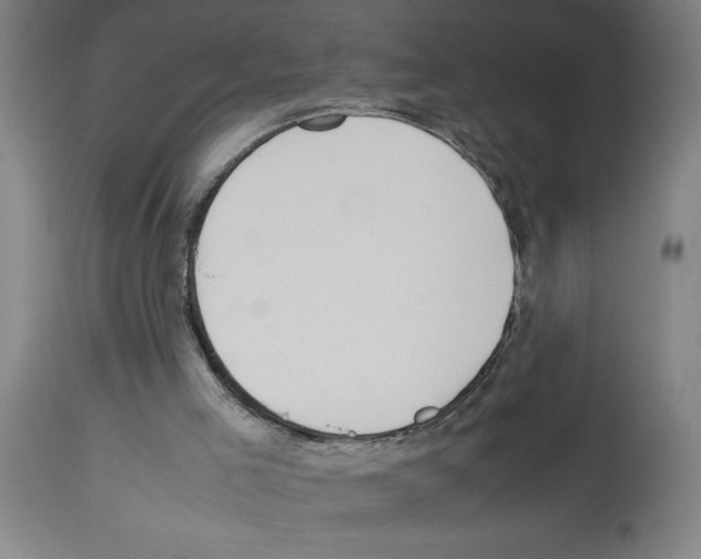 X0000112950005200910051229