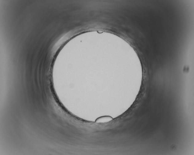 X0000112950007200910051229