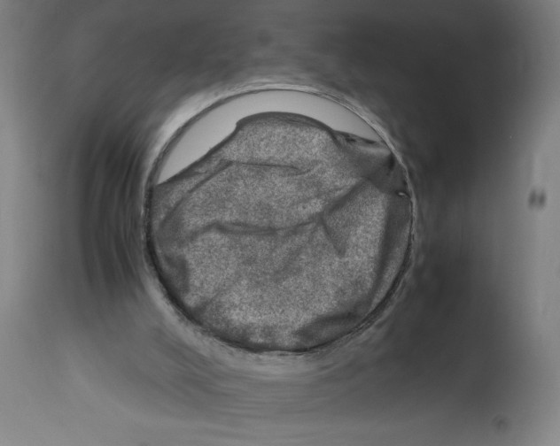 X0000112950008200910051229