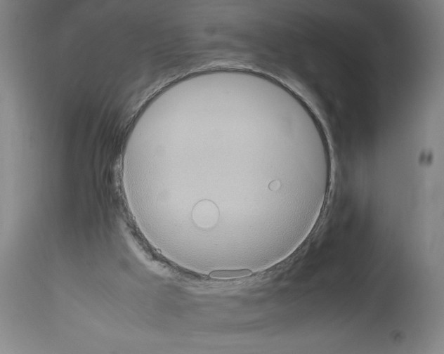 X0000112950009200910051229