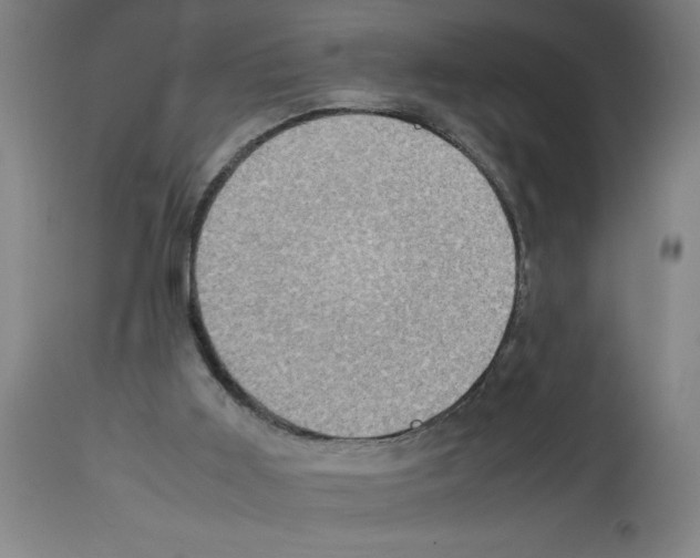 X0000112950011200910051229