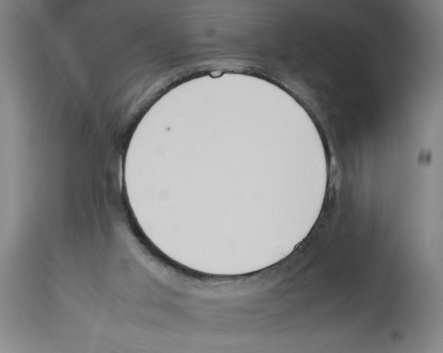X0000112950013200910051229