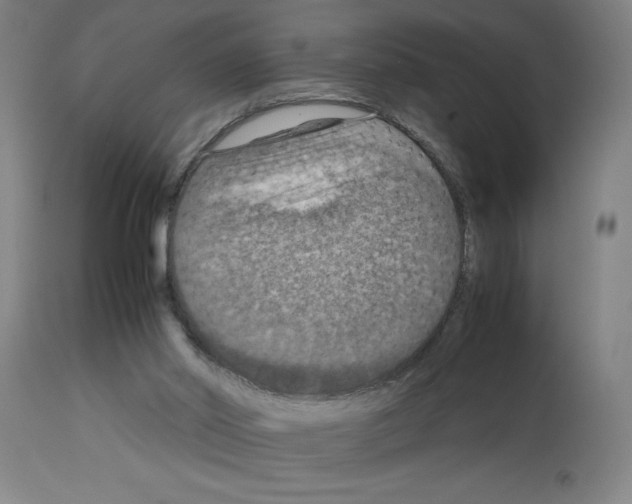 X0000112950014200910051229