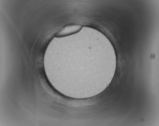 X0000112950017200910051229