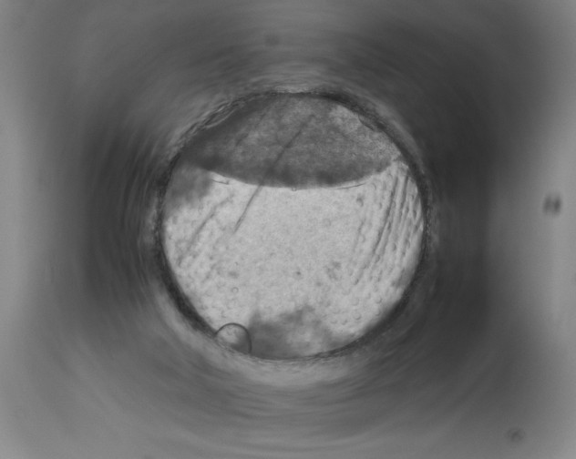 X0000112950018200910051229