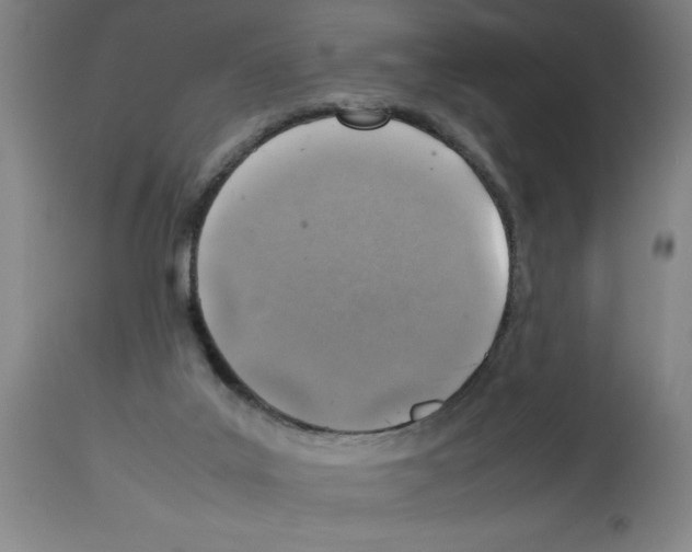 X0000112950019200910051229