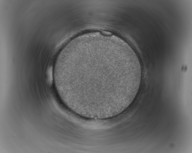 X0000112950020200910051229