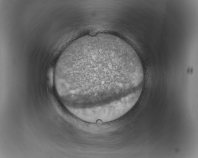 X0000112950022200910051229