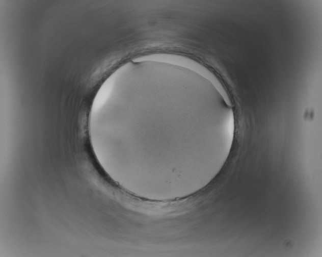 X0000112950023200910051229