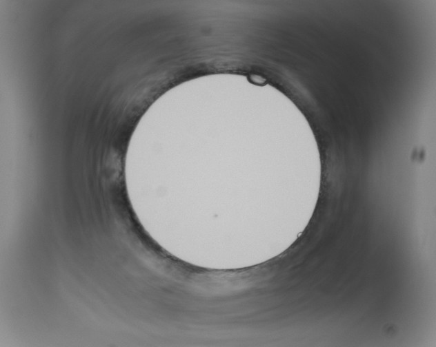X0000112950025200910051229