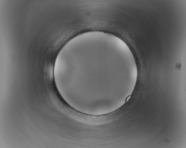 X0000112950027200910051229