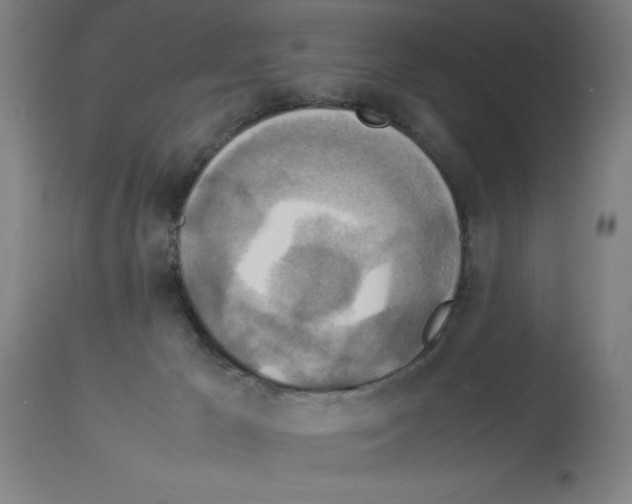 X0000112950029200910051229