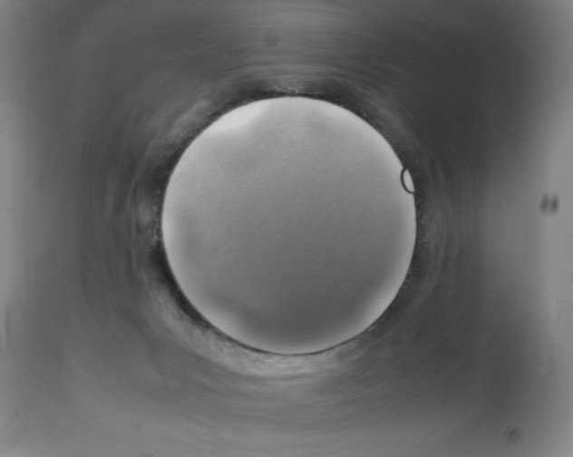 X0000112950031200910051229