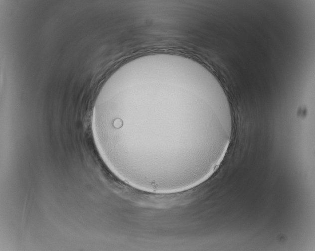 X0000112950033200910051229
