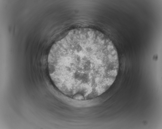 X0000112950034200910051229