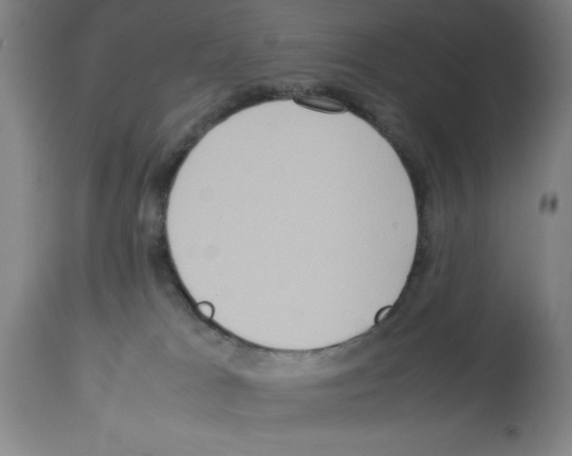 X0000112950037200910051229