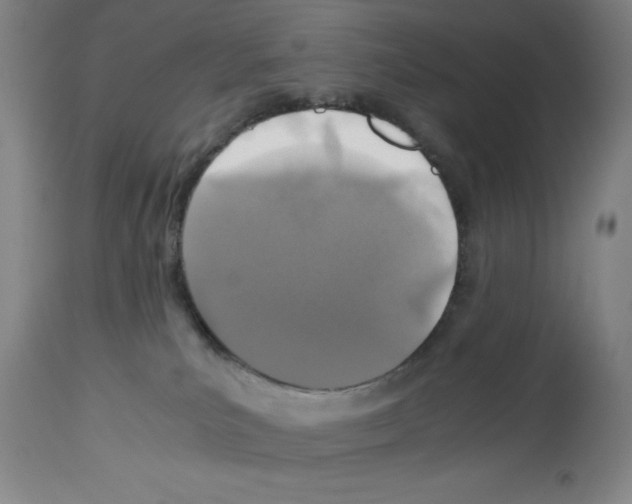 X0000112950039200910051229