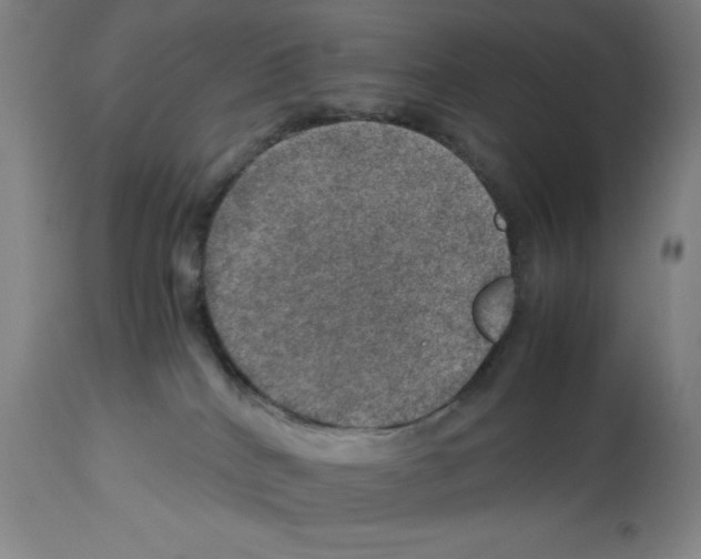 X0000112950040200910051229