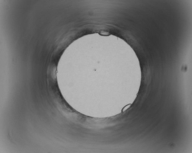 X0000112950041200910051229