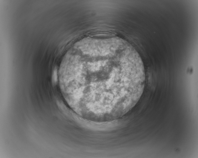 X0000112950042200910051229
