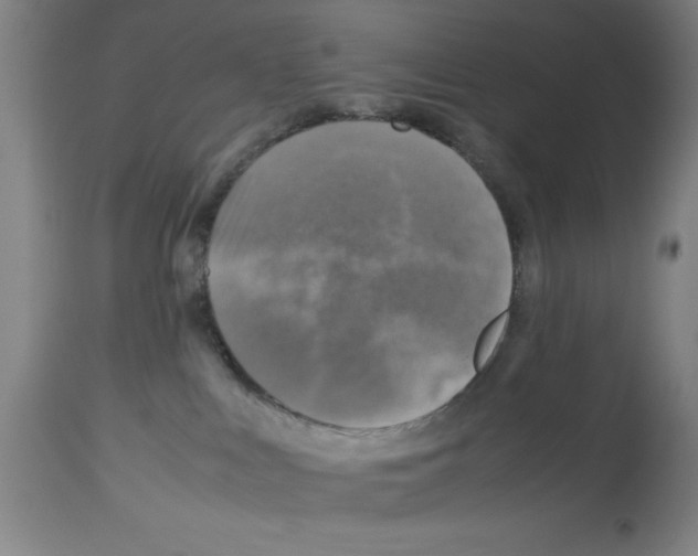 X0000112950043200910051229