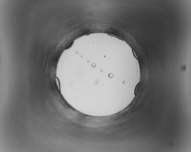 X0000112950045200910051229