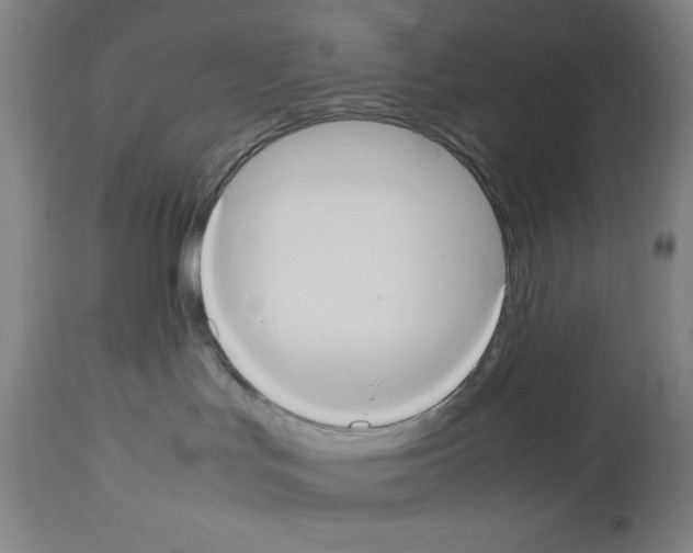 X0000112950047200910051229