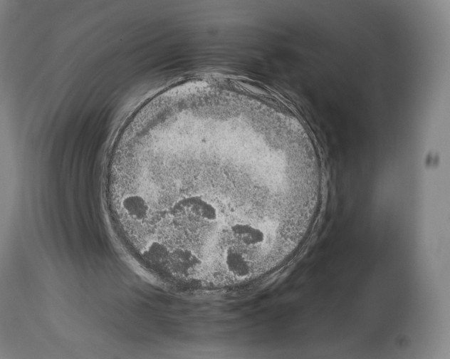 X0000112950049200910051228