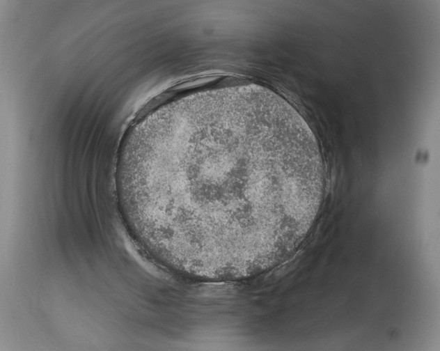 X0000112950050200910051228