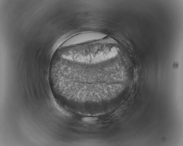 X0000112950051200910051228