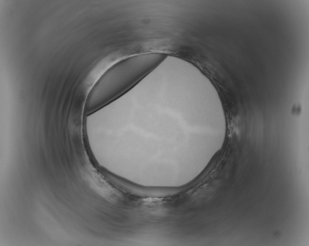 X0000112950052200910051228