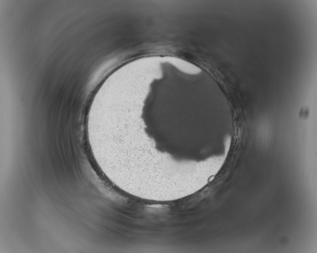 X0000112950053200910051228