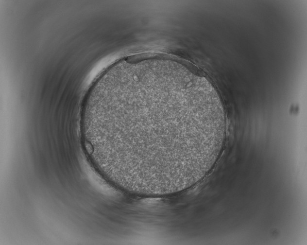X0000112950054200910051228