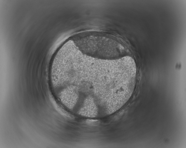 X0000112950055200910051228