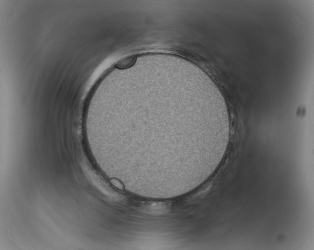 X0000112950056200910051228